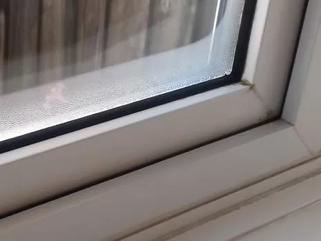 Trápí vás plíseň na oknech? Zbavte se jí nadobro